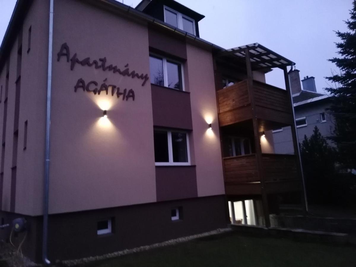 Apartmany Agatha Loucna nad Desnou Exterior foto